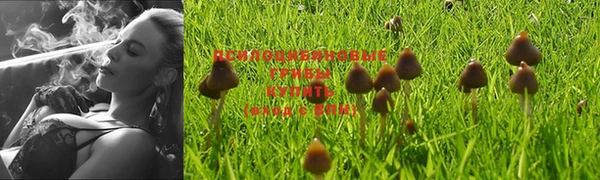 гидропоника Балахна