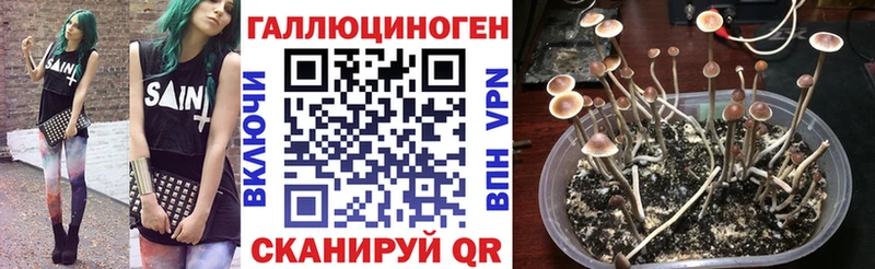 наркотики  KRAKEN вход  Псилоцибиновые грибы MAGIC MUSHROOMS  Салаир 